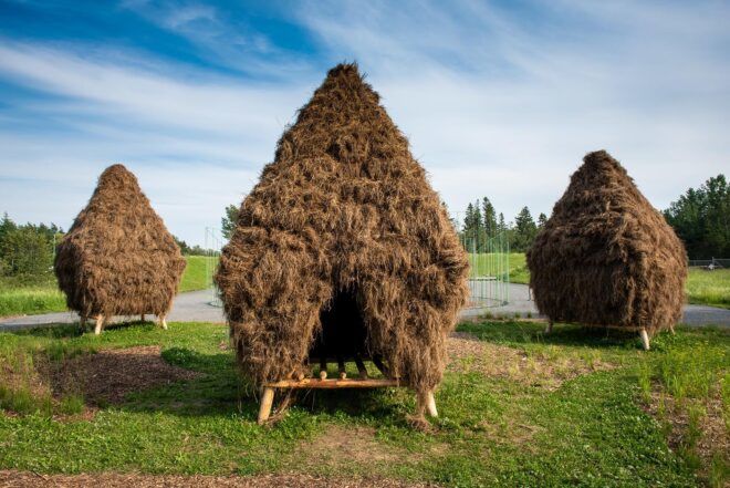 Three straw huts surrounded by grass.