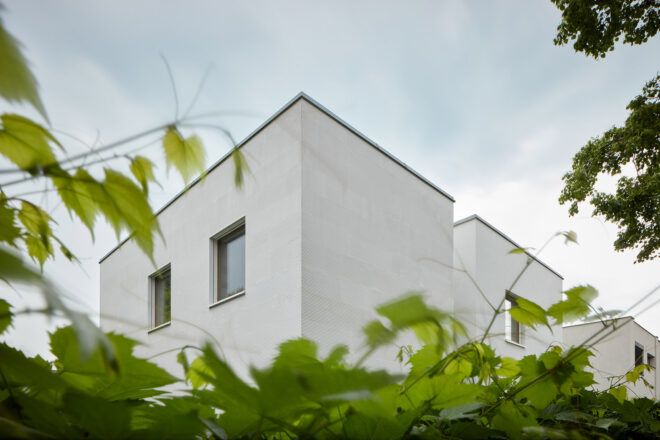 The corner of a white house partially obscured by plants in the foreground.