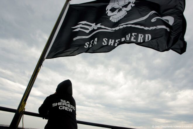 A person standing under a black Sea Shepherd flag.