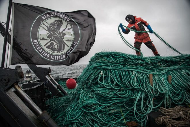 A person standing on a pile of green rope to the right of a black flag.