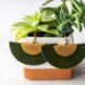 A pair of tan and green semi-circle earrings hanging on a potted cactus.