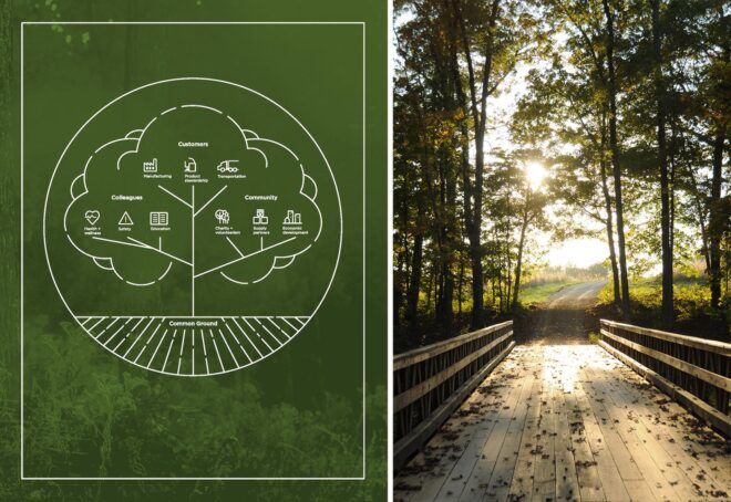To the left, a graphic of a green tree. To the right, a path through a forest.