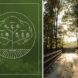 To the left, a graphic of a green tree. To the right, a path through a forest.