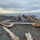 Driftwood on the beach.