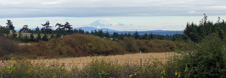 A landscape of nature and mountains on the horizon.