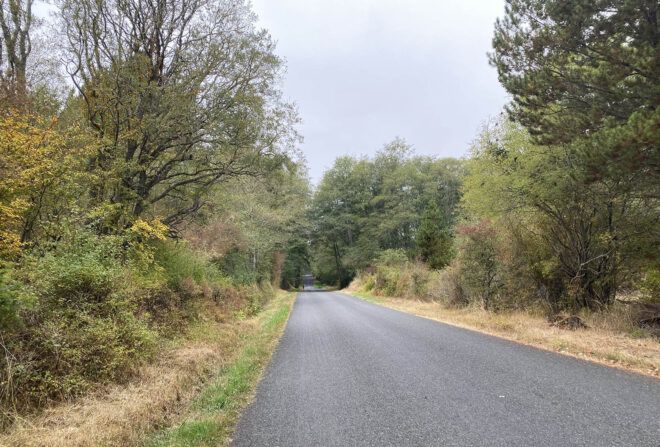 A road surrounded by nature.