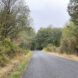 A road surrounded by nature.