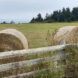 Two hay bales on a green pasture by the coast.