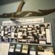 An informational display on the genealogy of southern resident community of orcas.