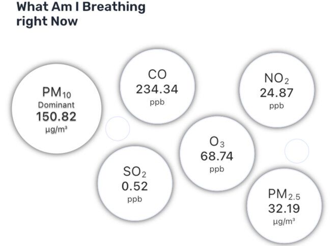 A screenshot from an app with a page titled "What Am I Breathing right Now," which shows information on several different pollutants.