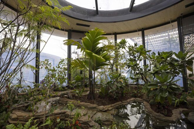 An indoor zoo habitat full of tropical green plants.