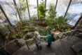 An overhead view of two tourists taking pictures of a zoo habitat with leafy green plants.