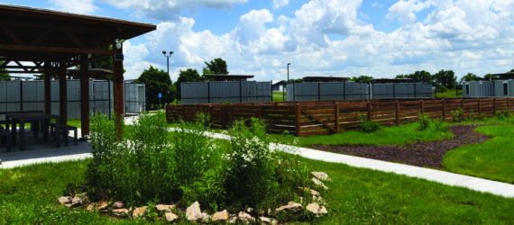 A green walkway leading up to a tiny home.