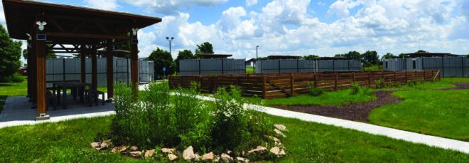 A green walkway leading up to a tiny home.