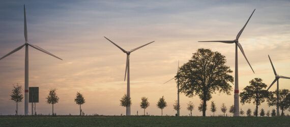 A landscape of windmills at dawn.