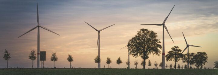 A landscape of windmills at dawn.