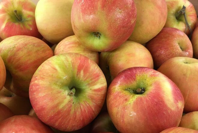 A pile of red-yellow apples.