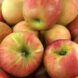 A pile of red-yellow apples.