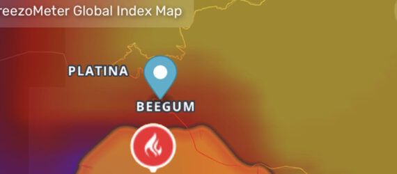 A screenshot from the BreezoMeter Global Index Map, showing air quality and fire report information for the area around Platina and Beegum.