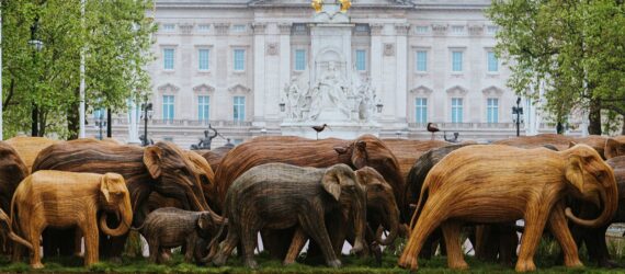 Stampede of elephants in front of Buckingham Palace