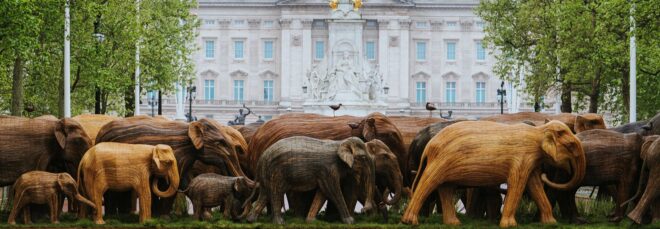 Stampede of elephants in front of Buckingham Palace