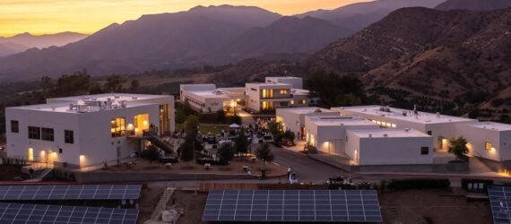 A landscape of solar panels in front of a campus.
