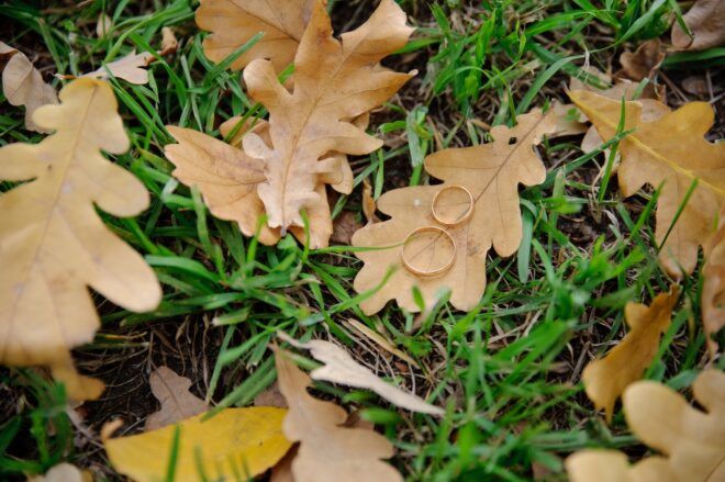 Two golden rings sitting on a fallen leaf