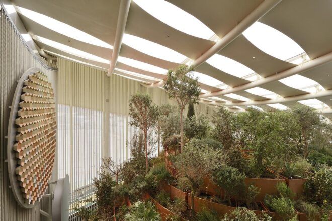 A room full of plants.