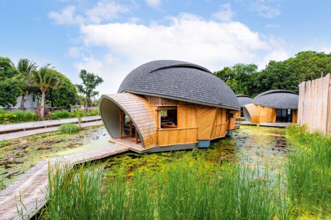 A single structure that looks like a turtle's shell