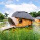 A single structure that looks like a turtle's shell