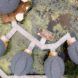 Overhead view of the structures sitting in a large pond