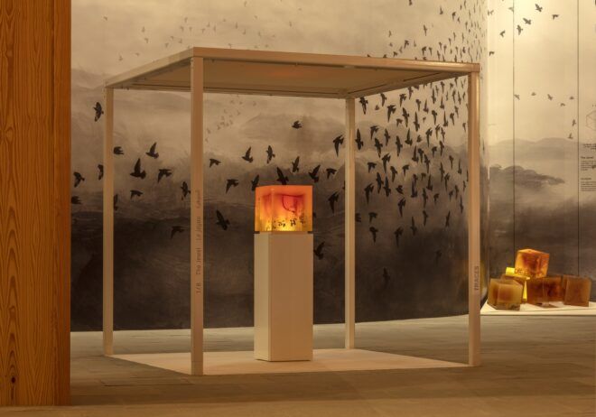 A cube in front of a mural of flying birds