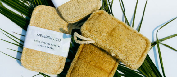 Four loofah sponges on top of a decorative frond leaf