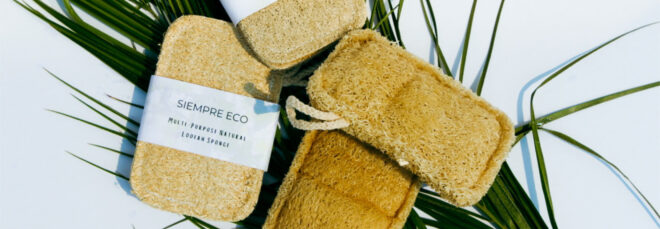 Four loofah sponges on top of a decorative frond leaf