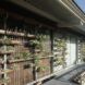 The side of a home with greenery embedded into the facade.
