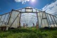Open greenhouse door with students inside
