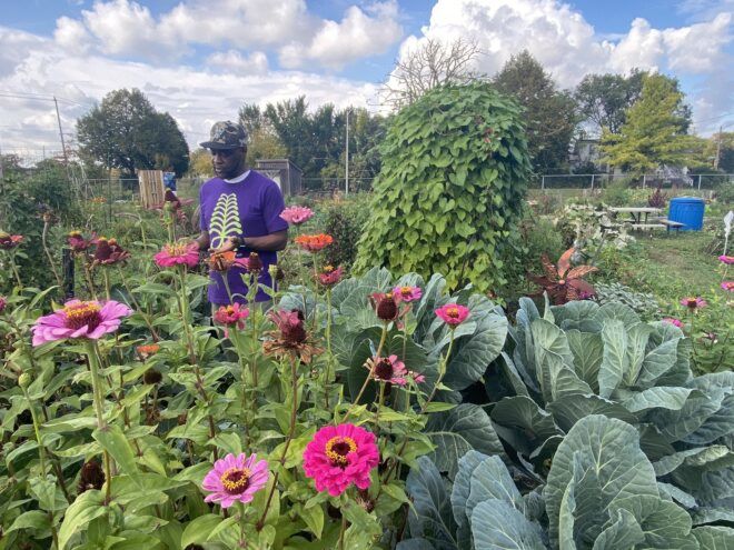 A garden with a man standing in it
