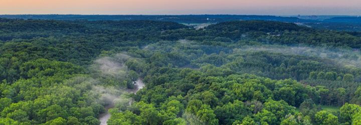 An aerial view of a forest.