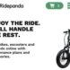 A screenshot of Ridepanda's homepage.