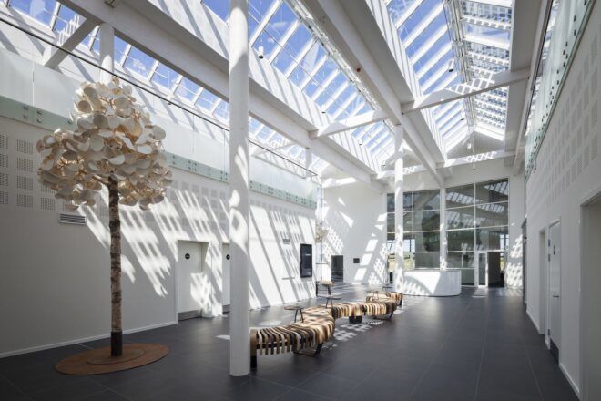 Hallway with trees, benches and a glass ceiling with a blue sky