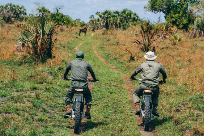 Two people on e-bikes on a grassy field with animals.