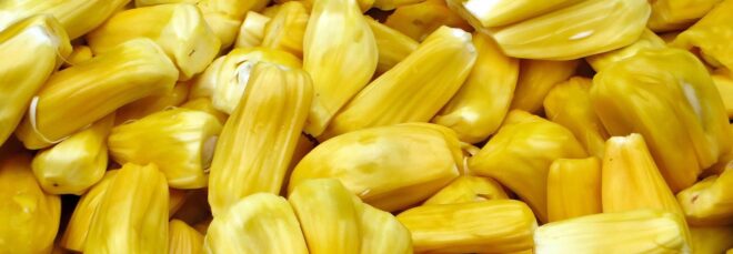Jackfruit yellow innards in a pile