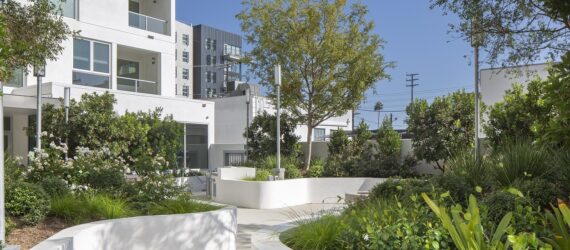 A white building on the left side with trees on the right side