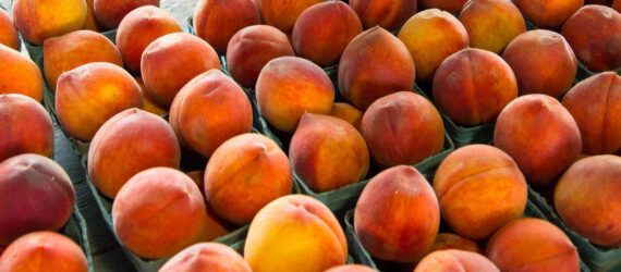 Several cartons of peaches.