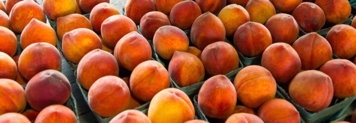 Several cartons of peaches.