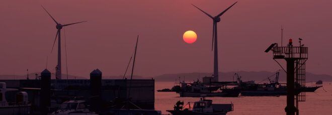 A wind farm at sunset.