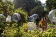Bubbles floating in a garden area with people walking through and viewing the exhibit