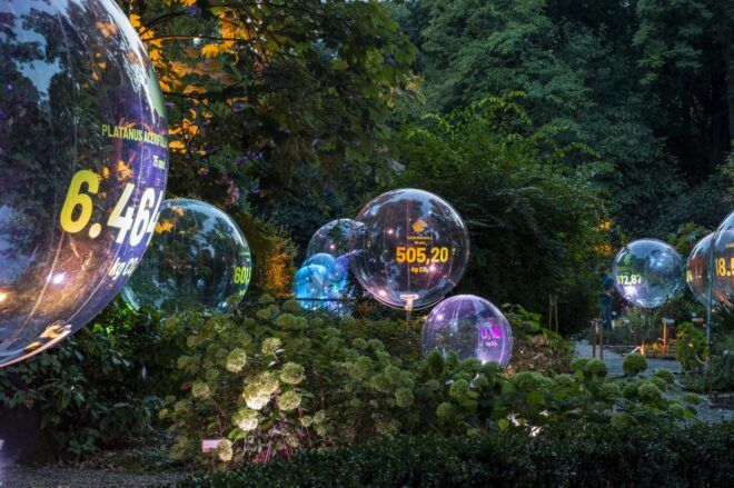 Bubbles floating on a bush lit up with lights inside of it