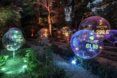 Bubbles light up with different colors at night in a forest area