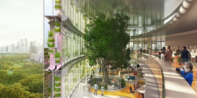 A large tree in front of a hydroponic garden wall